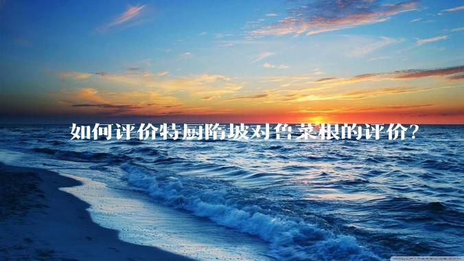 如何评价特厨隋坡对鲁菜根的评价？